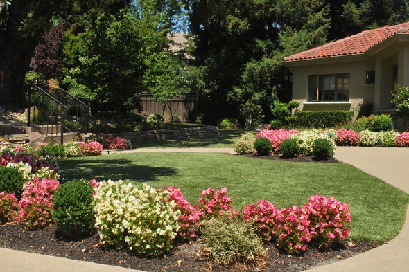 Fresno Artificial Turf Lansdscaping