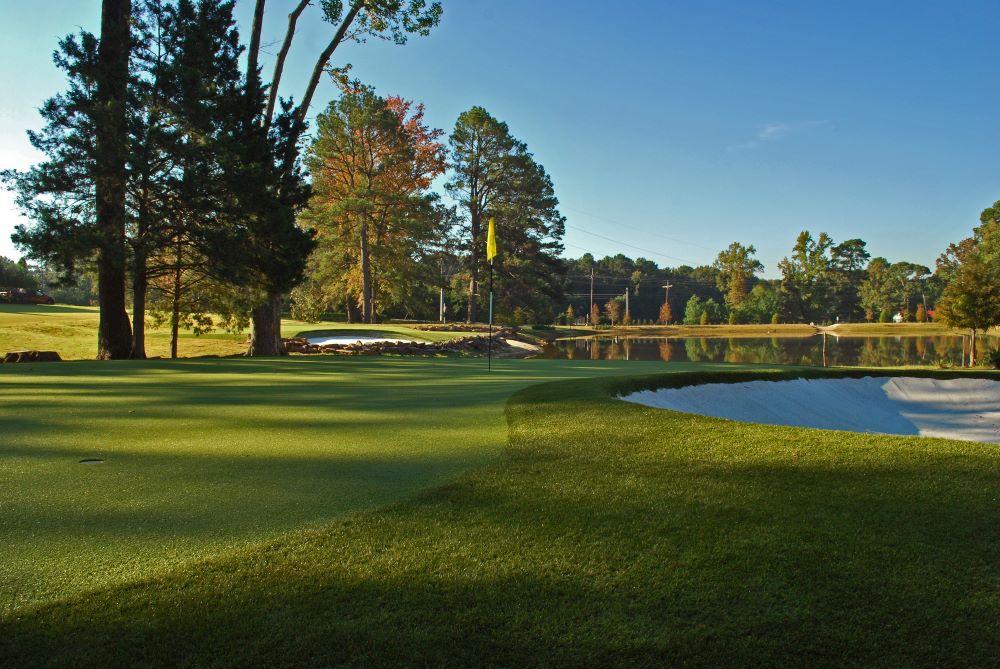 Fresno Artificial Turf Golf Course