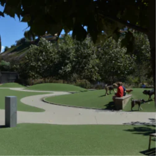 What to Understand Before You Spec a Dog Park Surface in Fresno