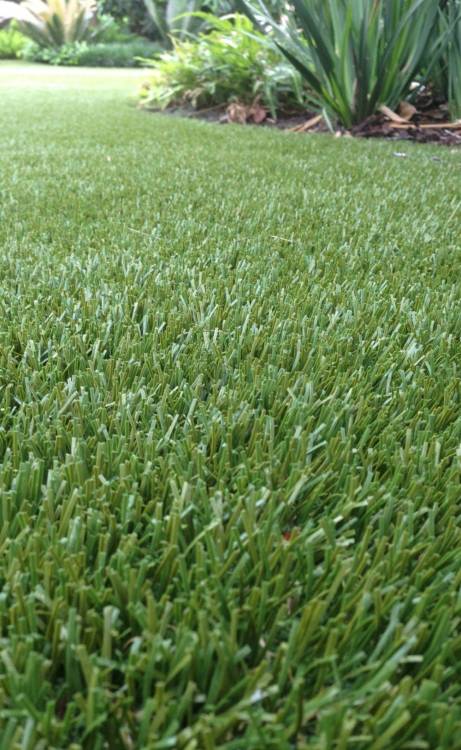 Fresno artificial grass