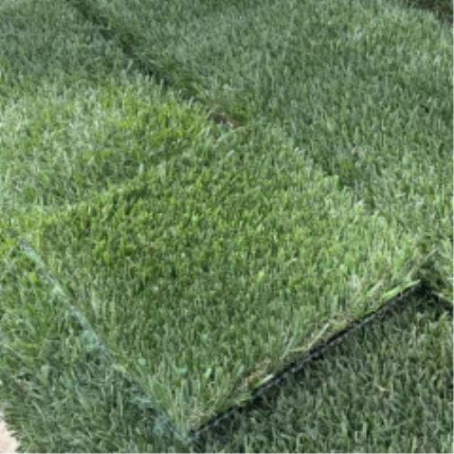 Introducing Wide Blade Turf in Fresno