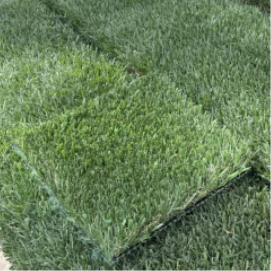 Introducing Wide Blade Turf in Fresno