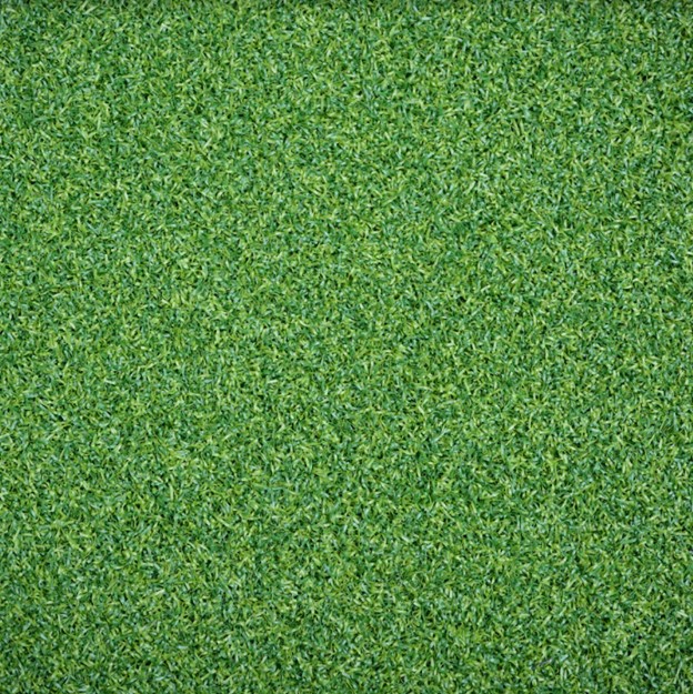 NYPutt 301 NYPutt 301