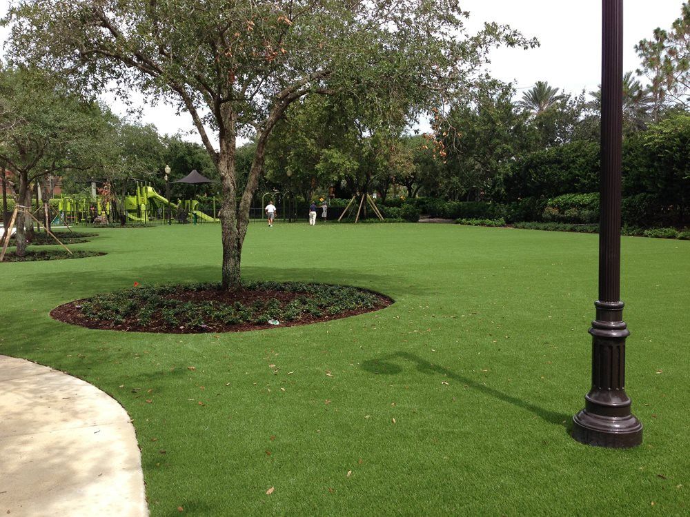 Fresno commercial artificial grass landscaping