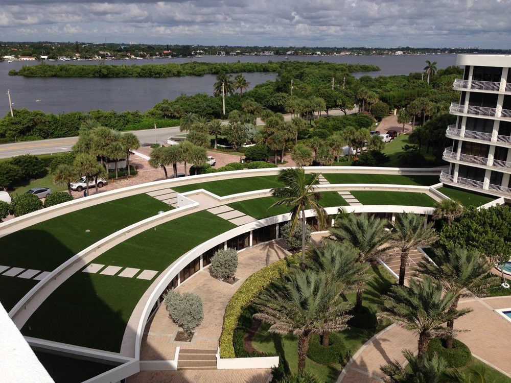 Fresno commercial landscape turf