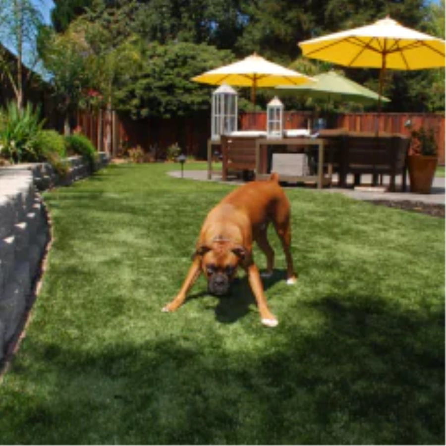 Ways fake grass for dogs Improves Your [[targetlocaiton]] Backyard
