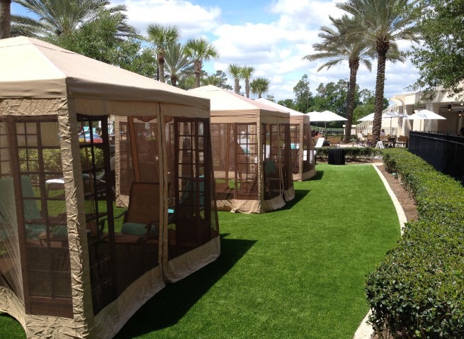 Fresno commercial landscape turf